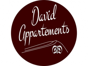 David Appartments Mauterndorf